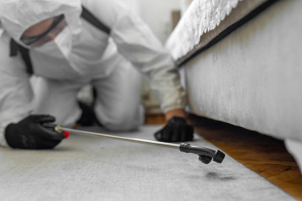Professional Bed Bug Control technician working in Dolton, IL